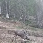 Villa Kaldfjord Sea House Tromsø