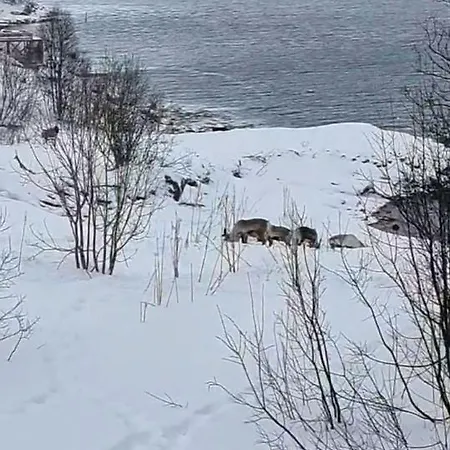 Kaldfjord Sea House Villa *