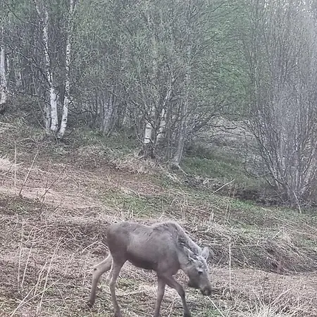 Villa Kaldfjord Sea House Tromso