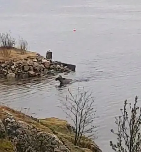 Kaldfjord Sea House *