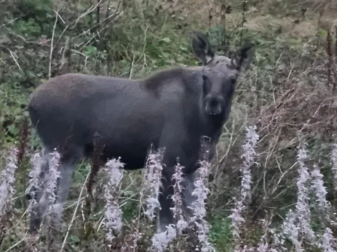 Kaldfjord Sea House Tromsø