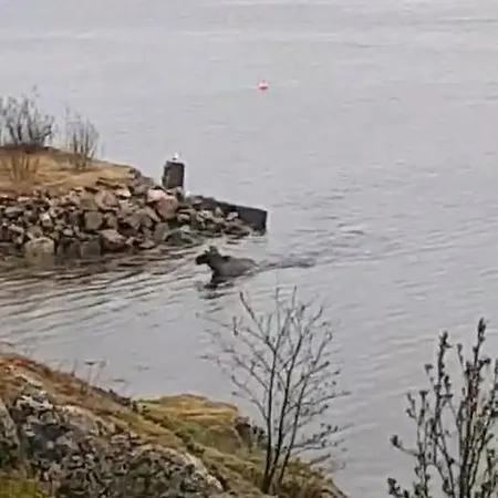 Kaldfjord Sea House *