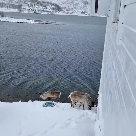 Kaldfjord Sea House Τρόμσο