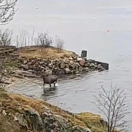 Kaldfjord Sea House * Τρόμσο