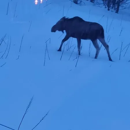 Βίλα Kaldfjord Sea House *