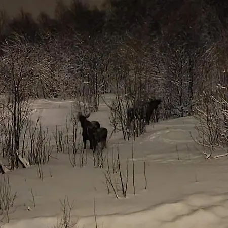 Kaldfjord Sea House Βίλα Τρόμσο