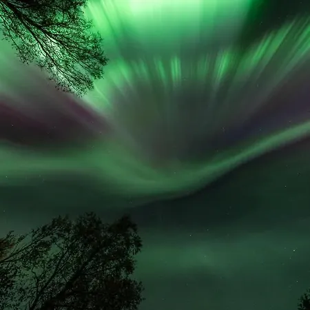 Βίλα Kaldfjord Sea House *